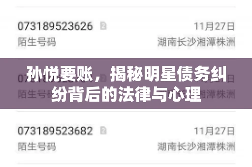 孙悦要账，揭秘明星债务纠纷背后的法律与心理