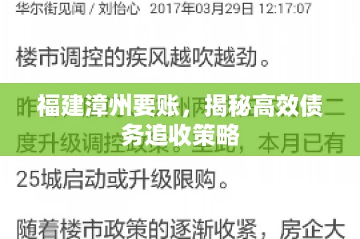 福建漳州要账，揭秘高效债务追收策略