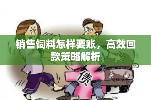 销售饲料怎样要账，高效回款策略解析
