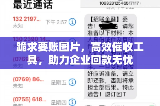 跪求要账图片，高效催收工具，助力企业回款无忧