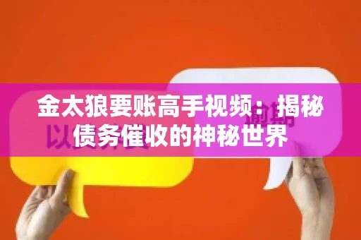 金太狼要账高手视频：揭秘债务催收的神秘世界